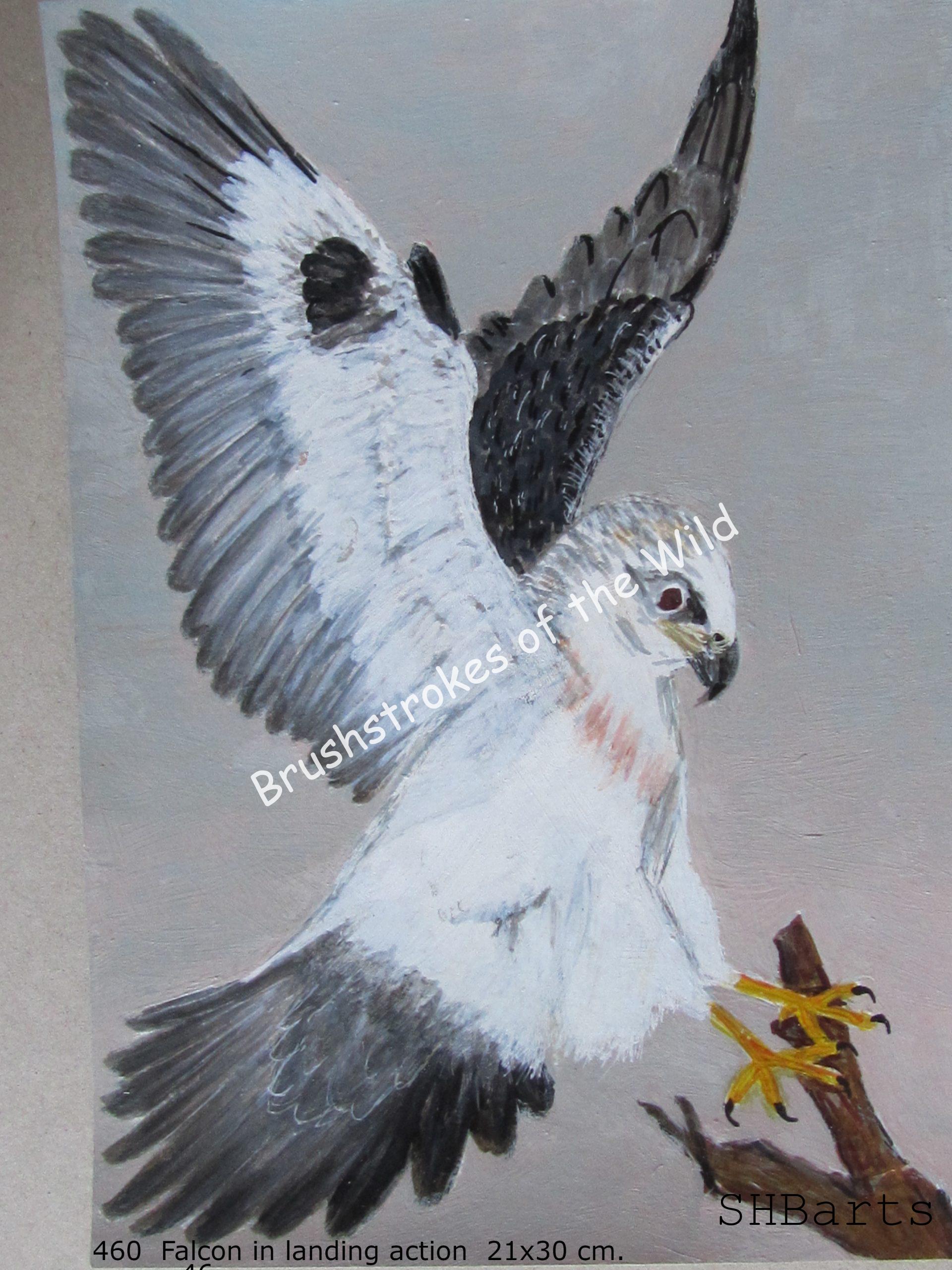 Falcon - Landing action