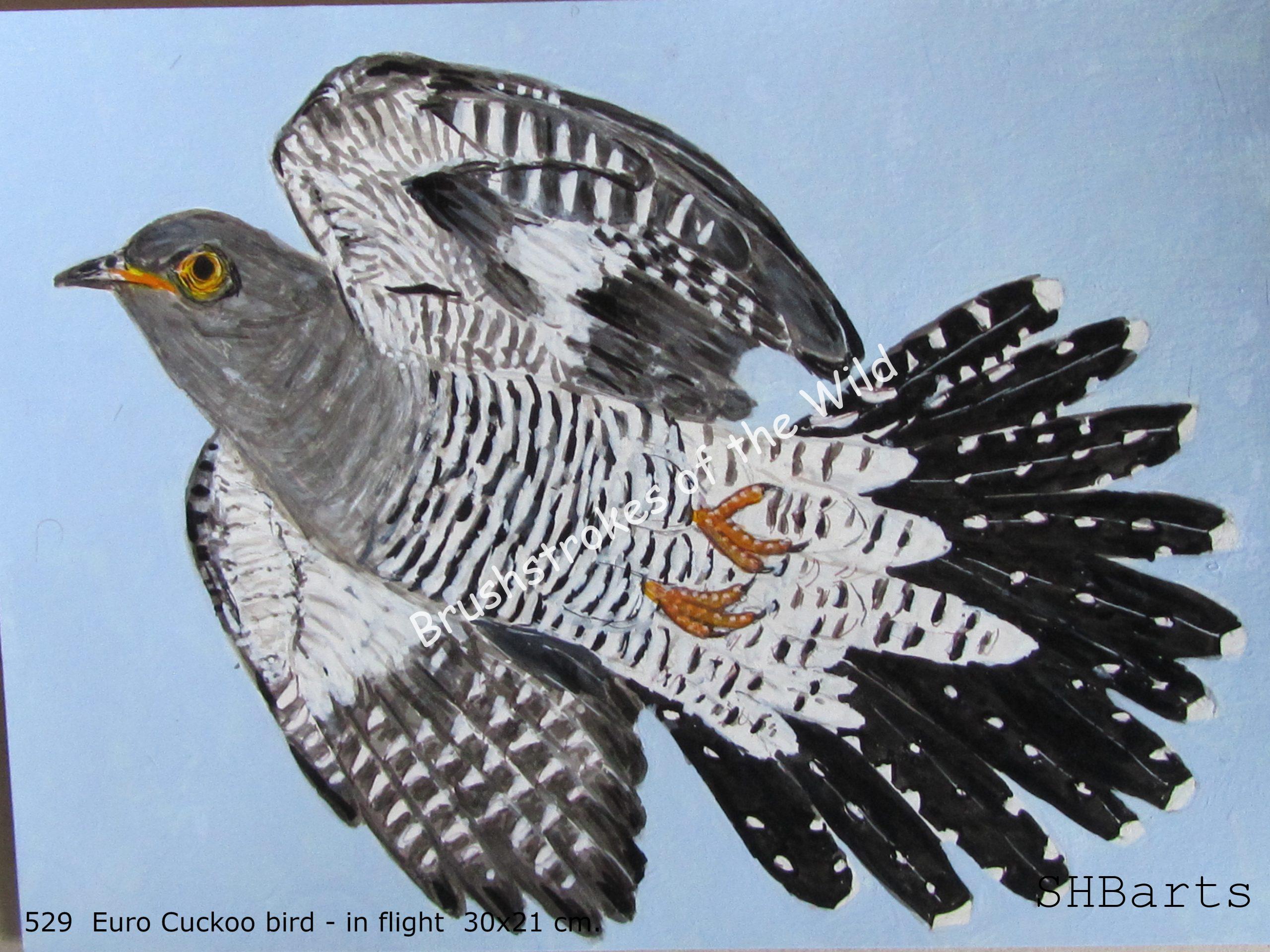 Euro Cockatoo - In flight