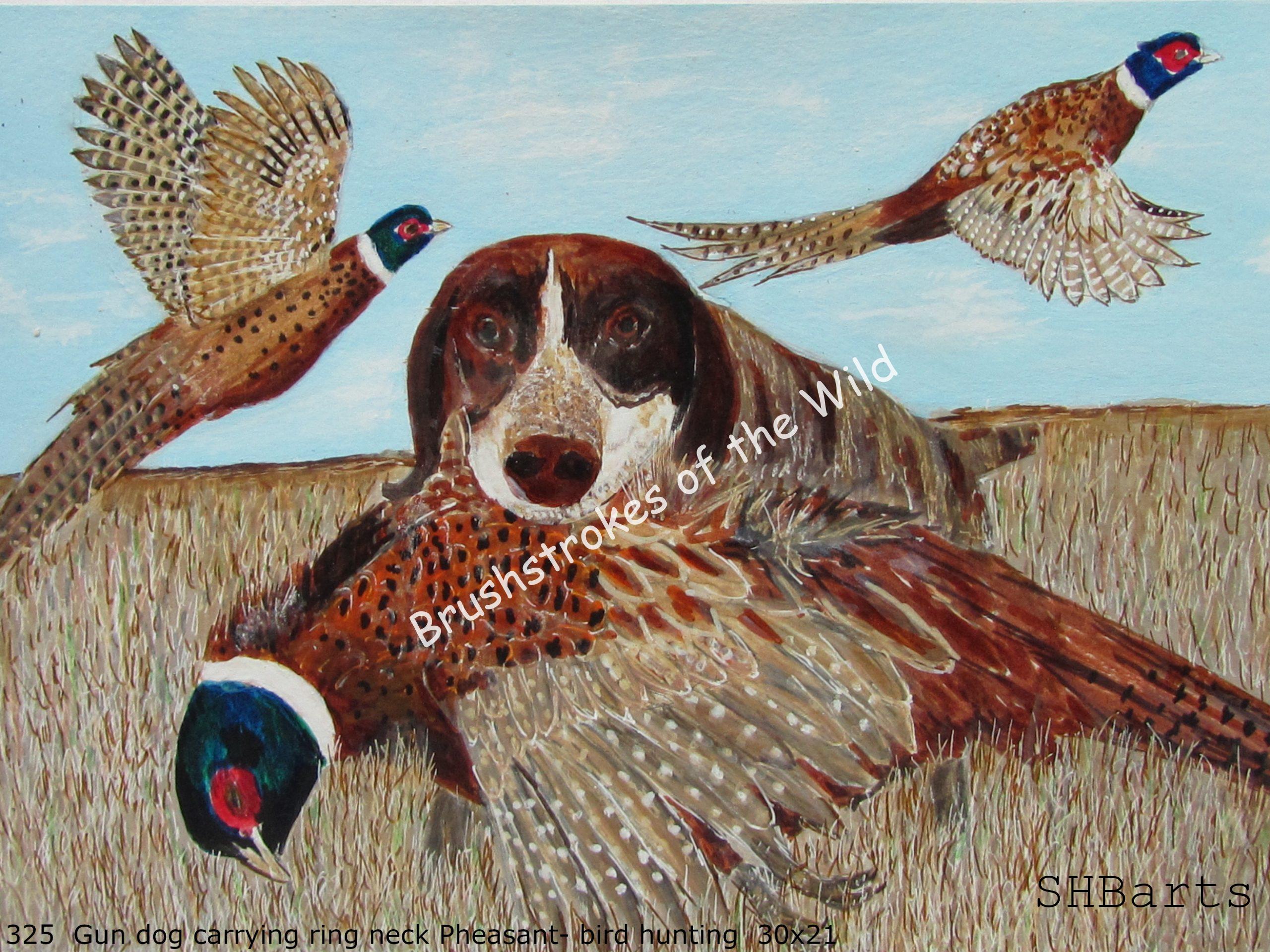 Gun Dog - Carrying guned down Pheasant