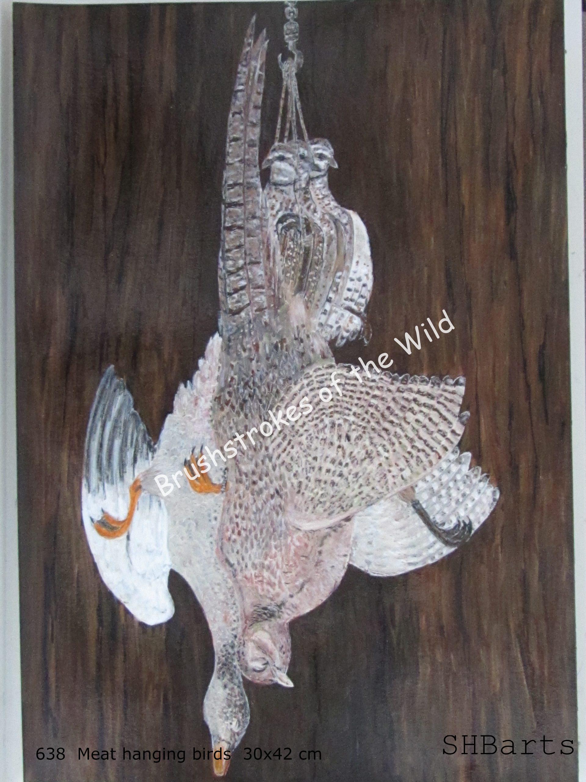 Hanging meat birds in kitchen