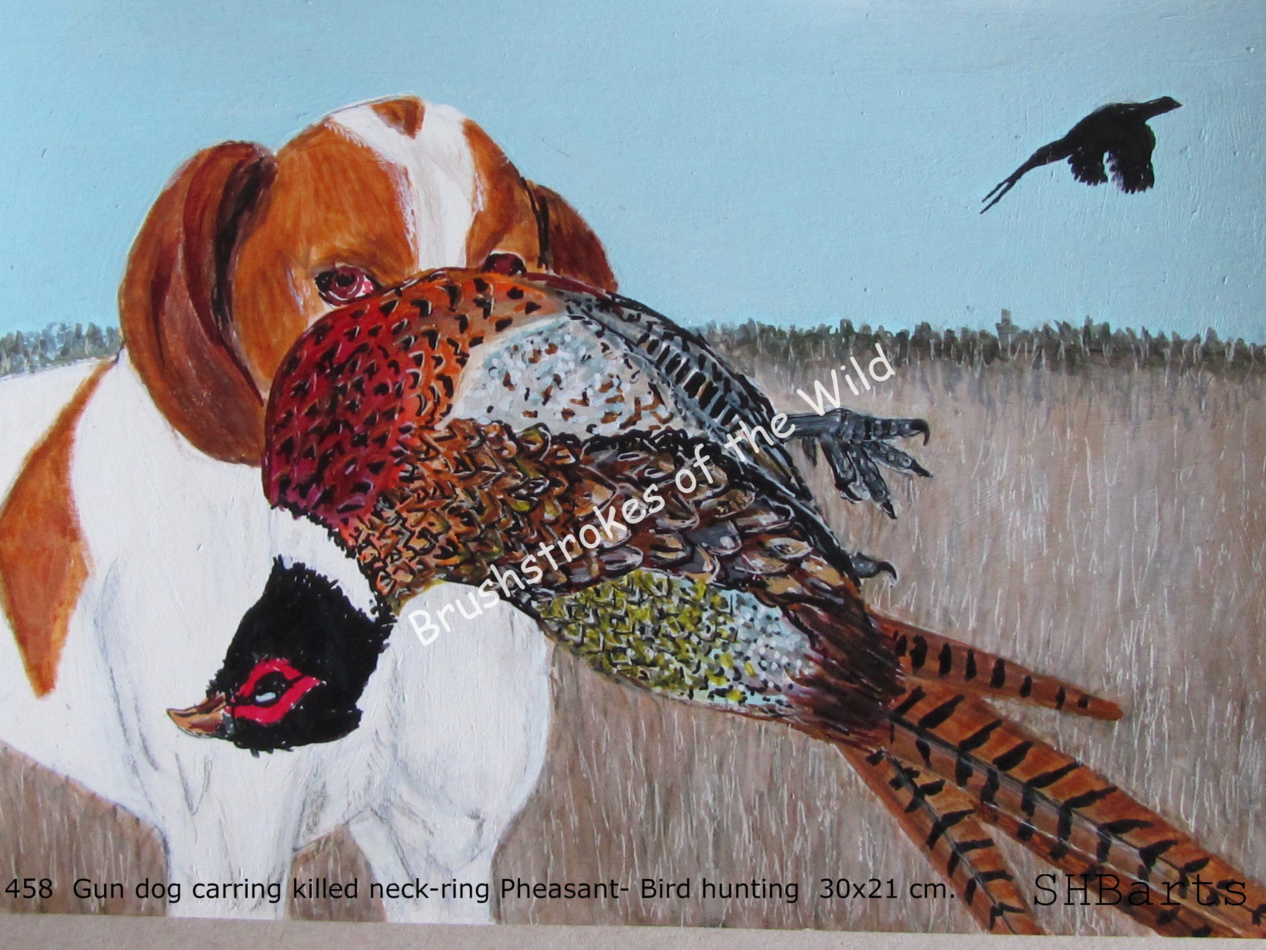 Gun Dog carrying Pheasant